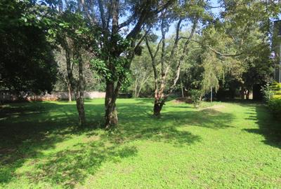 Commercial Property with Service Charge Included at Marula Road - 3