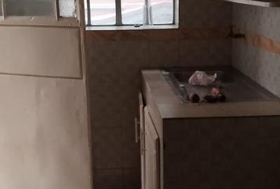 1 Bed Apartment with Borehole in South B
