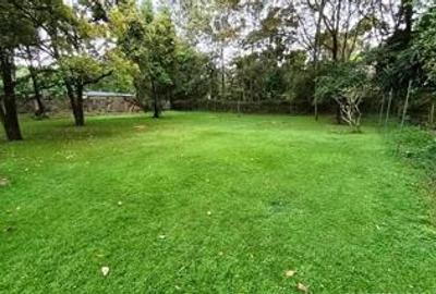 1 ac Commercial Property with Fibre Internet at Lavington Green