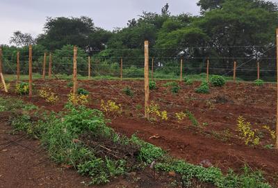 Residential Land in Juja