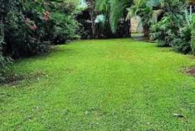 4 ac Land in Thika Road - 2
