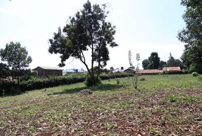 Land in Kitisuru