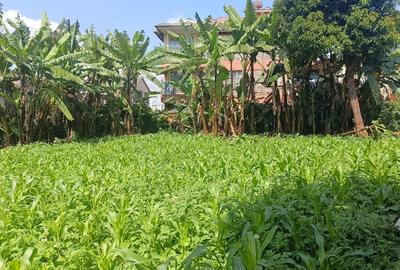 Commercial Land at Ruaka