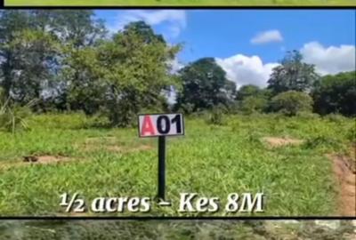 Land at Vipingo Kilifi - 3