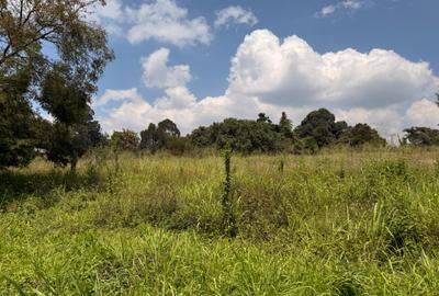 Land in Kiambu Road