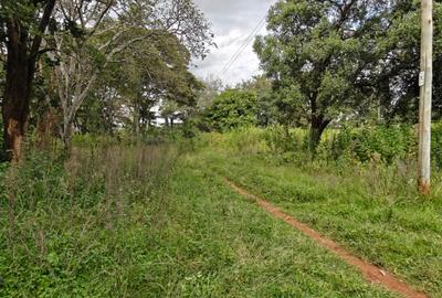 9 ac Land in Karen - 4