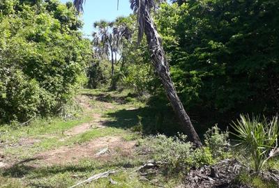 56,658 m² Commercial Land at Funzi Island