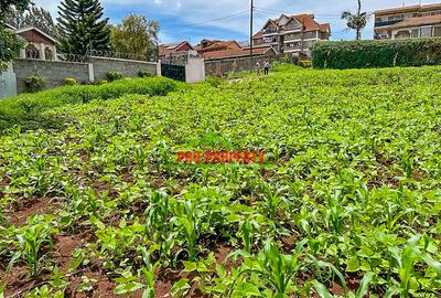 0.05 ha Commercial Land in Kikuyu Town