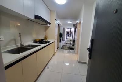 Studio Apartment with En Suite at Syokimau - 4