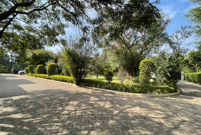 2 Bed Apartment with En Suite in Karen - 4