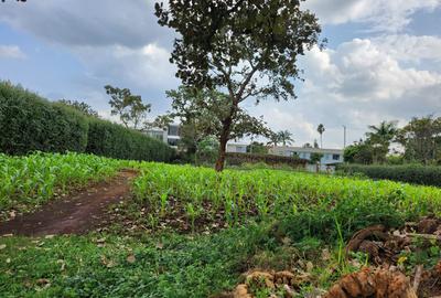 Residential Land in Karen