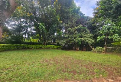 4 Bed House with En Suite in Loresho - 2