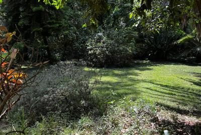 2.7 ac Land in Karen - 4