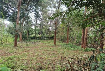 0.125 ac Land at Ruui Kirigiti