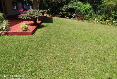 4 Bed House with En Suite at Mutundu Road - 2