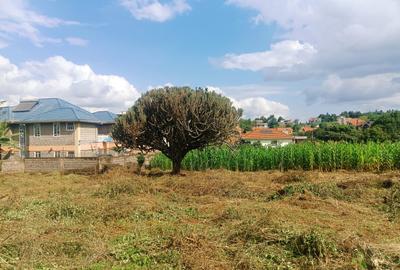 1,000 m² Residential Land at Riu-Nderi