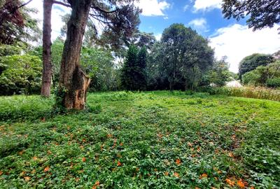 Residential Land at Lower Kabete Rd - 4