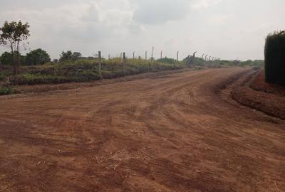 0.25 ac Residential Land in Thika