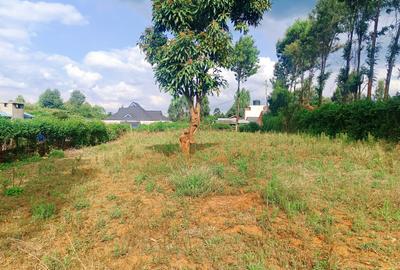 1,000 m² Residential Land at Karie