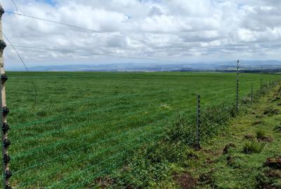 314 ac Land at Timau - 4