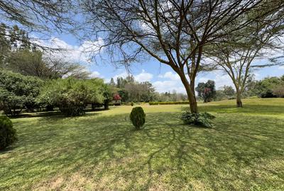 4 ac Land in Karen - 3