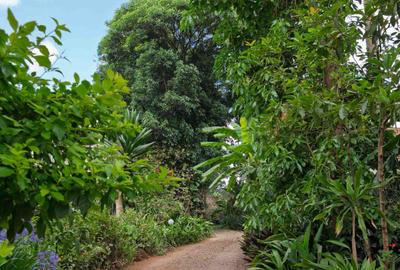 3 Bed House with Staff Quarters in Nyari - 2