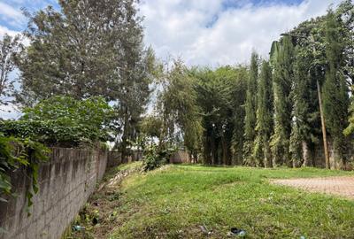 Residential Land at Muthithi Gardens