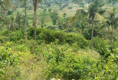 8.5 ha Land at Ls2295 - 3