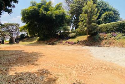 1 ac Land at Banana Raini Road - 4