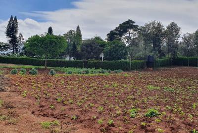 Residential Land in Karen