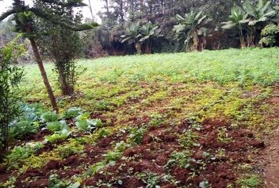 0.5 ac Residential Land in Kiambu Road - 3
