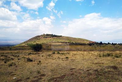 20,235 m² Land in Naivasha