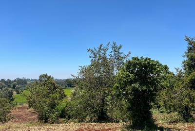 Land in Tigoni