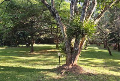 4 Bed House with En Suite in Lavington - 3