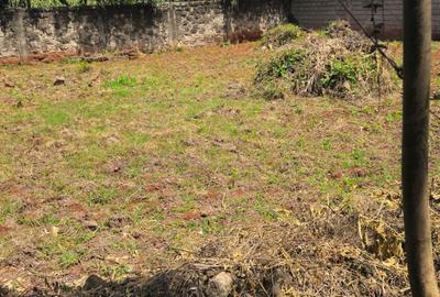 0.25 ac Land at Nyati Drive