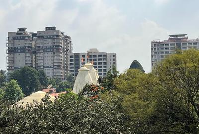 Furnished 4 Bed Apartment with En Suite in Spring Valley - 2