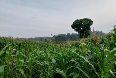 Land at Kitisuru Road