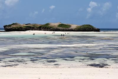 3.5 ac Land in Watamu - 3