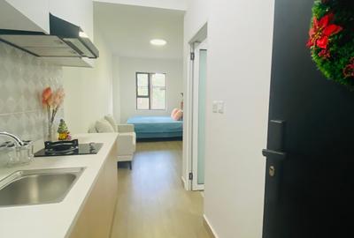 Furnished Studio Apartment with En Suite in Juja - 3