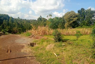 Land at Muhuri Road