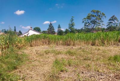 0.5 ac Land in Ridgeways