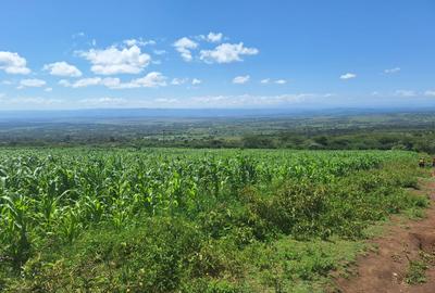 0.25 ac Residential Land at Nakuru - 4