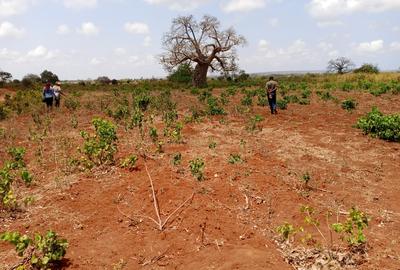 5,000 ft² Land at Mavueni