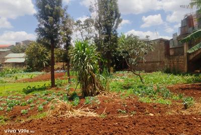 0.25 ac Land at Kangemi - 3