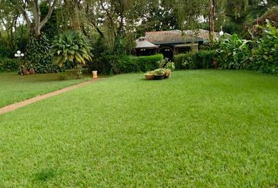 6 Bed House with En Suite at Kitisuru