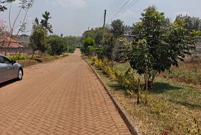 0.5 ac Land at Runda - 4
