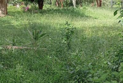 9 ac Land at Koitobos Road
