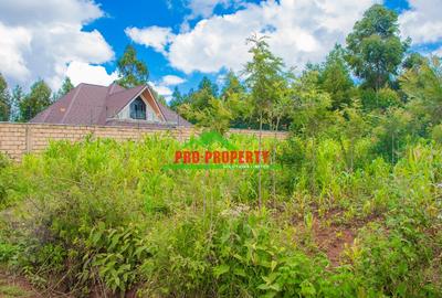 0.1 ha Commercial Land at Kamangu