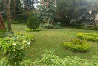 0.75 ac Residential Land at Mageta Road - 3