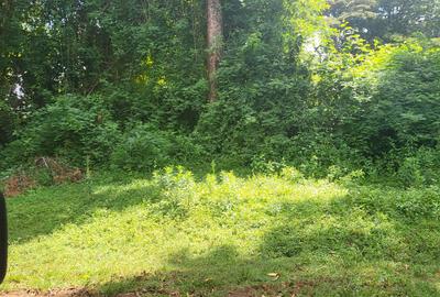 Land in Karen